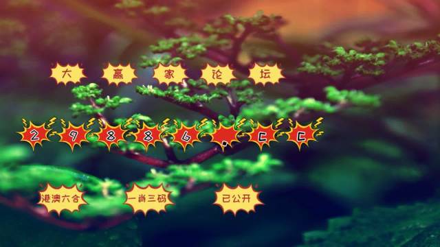 澳门跑狗图精选解析与落实策略，走向正版资料的未来之路