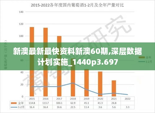 新澳2025正版免费资料解析与落实精选详解