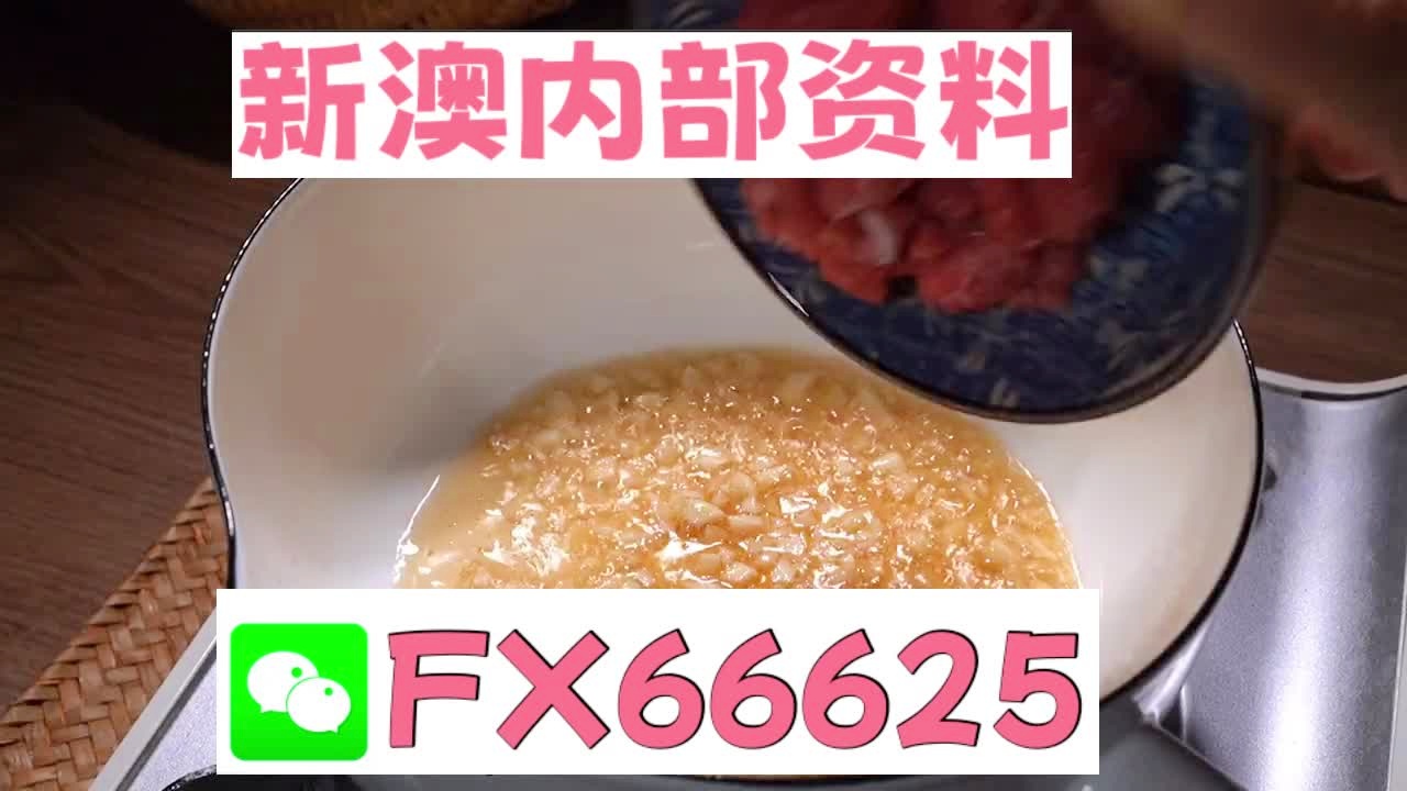 新澳门精准10码中特，精选解释解析与落实策略