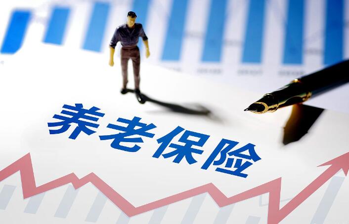 新澳门精准资料大全与管家婆料——解析、精选与落实策略