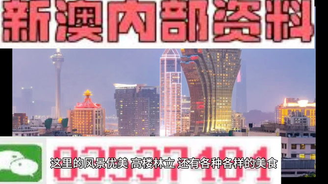 新澳精准资料期期精准，解析与落实的精选之道