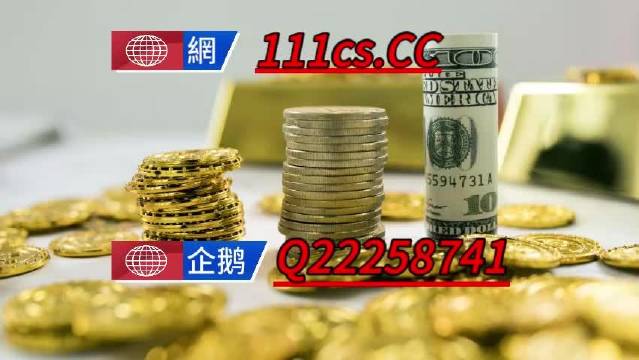 香港王中王资料完整版，深入解析与精选解析落实