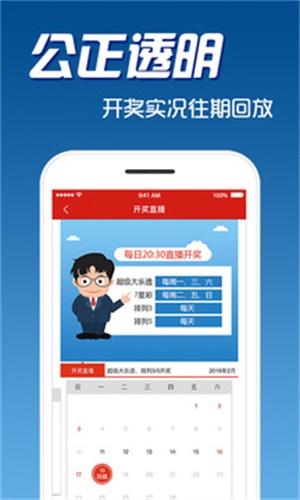 二四六天天彩资料大全网，精选解释解析落实的策略与方法
