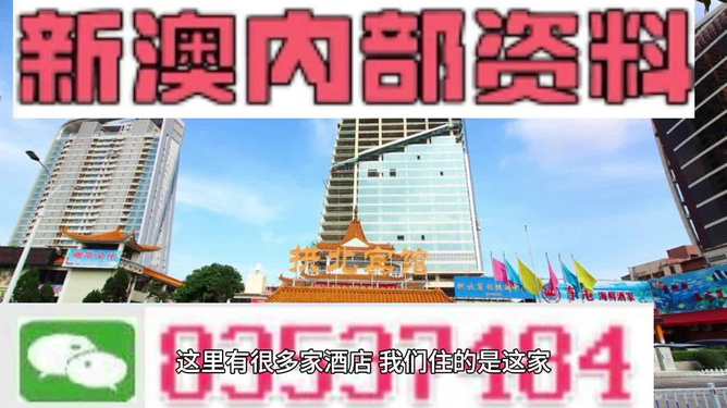 探索新澳门正版免费资料的查找之旅，解析、选择与落实