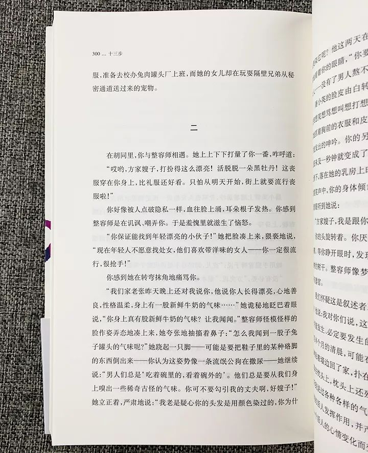 白小姐正版四不像中特小说的奥秘，精选解析与深入落实