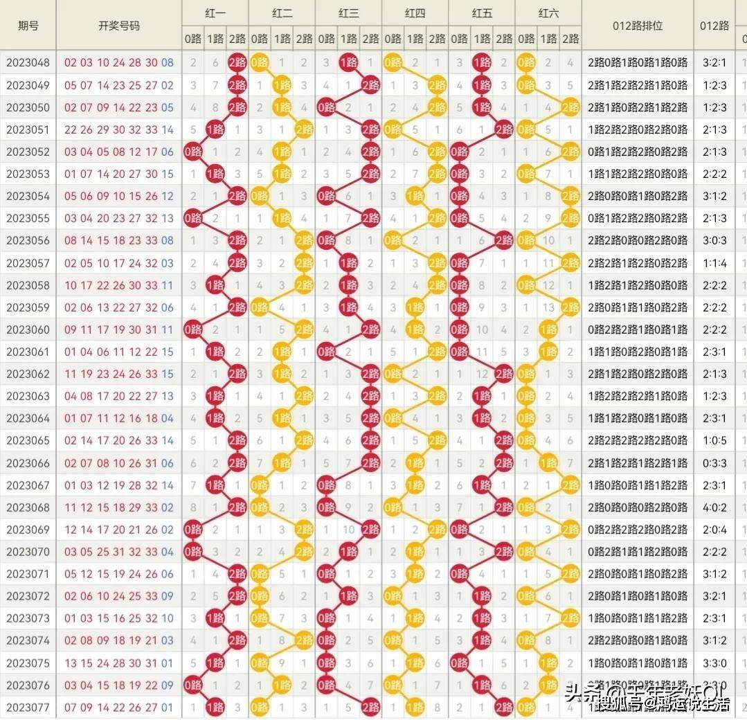 新奥2025今晚开奖结果，深度解析与精选解释