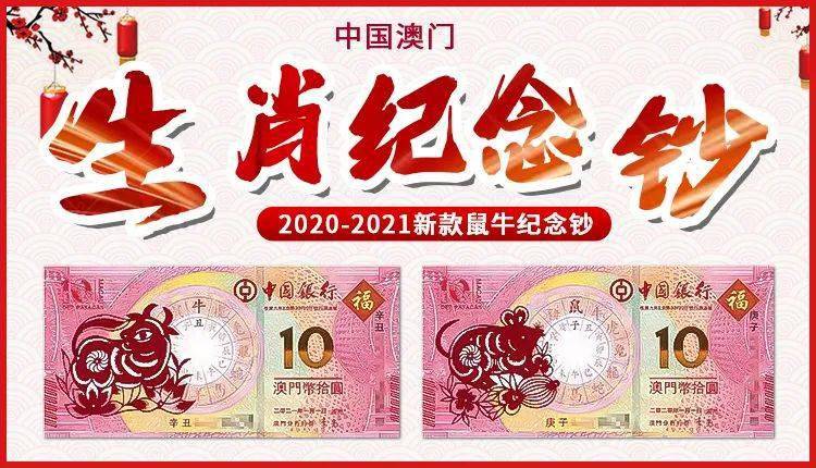 澳门精准免费大全2023年精选解析与落实策略