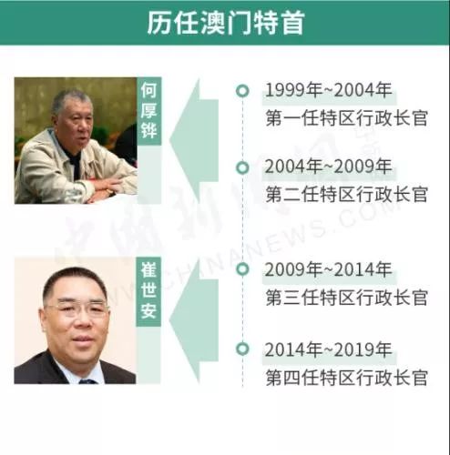 新澳门特免费资料大全精选解析与落实策略
