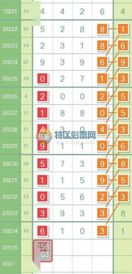 精准一肖一码，深度解析与落实策略