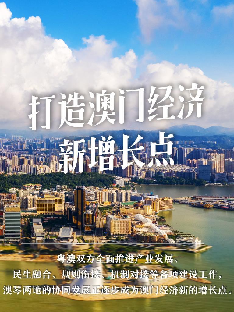 探索新澳门正版免费资料的查找之旅，解析、精选与落实策略