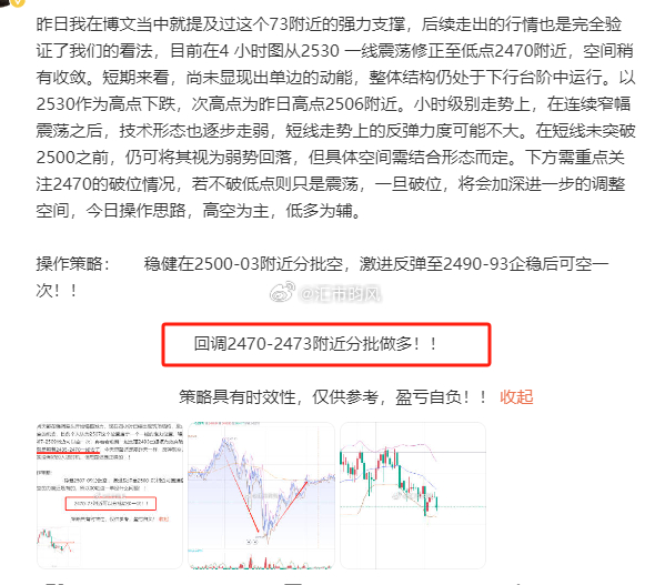 精准预测一肖一码一子一中，深度解析与精准落实的精选解释