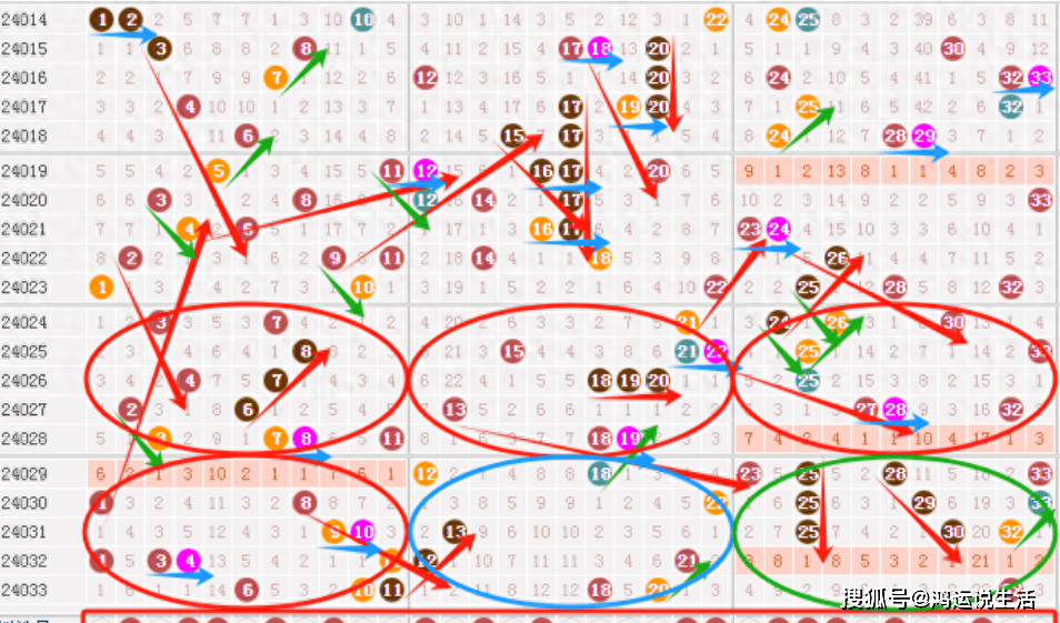 白小姐今晚特马期期准，解析与落实策略（精选解释解析落实）