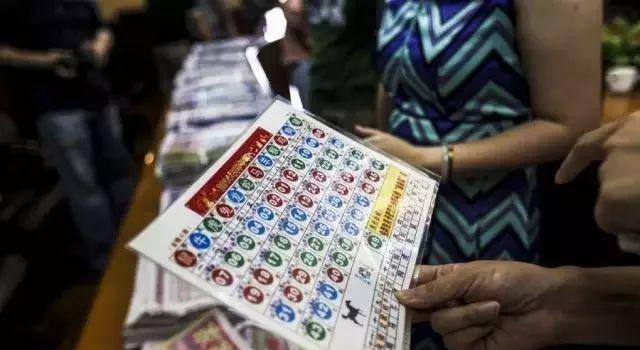 二码中特期期准资料精选解析与落实策略