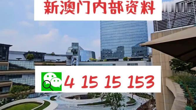 新澳门特免费资料大全与管家婆料，精选解析与落实