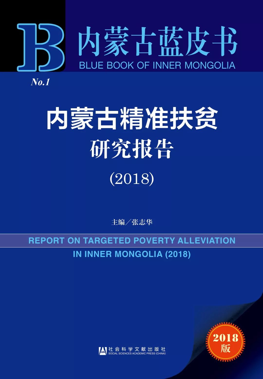 新奥精准免费资料提供，解析与落实精选解释