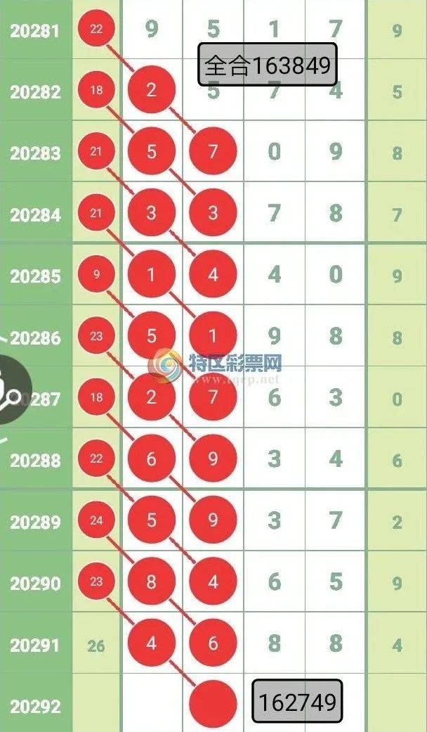 一肖一码一必中精选解析与落实策略