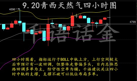 二四六香港资料精准解析与落实策略探讨