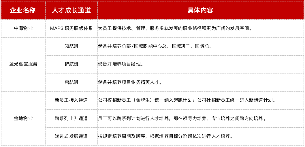 探索未来，2025年新澳门免费资料大乐透的解析与落实策略