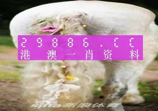 澳门一肖一码准选一码解析与落实策略（2023年精选版）