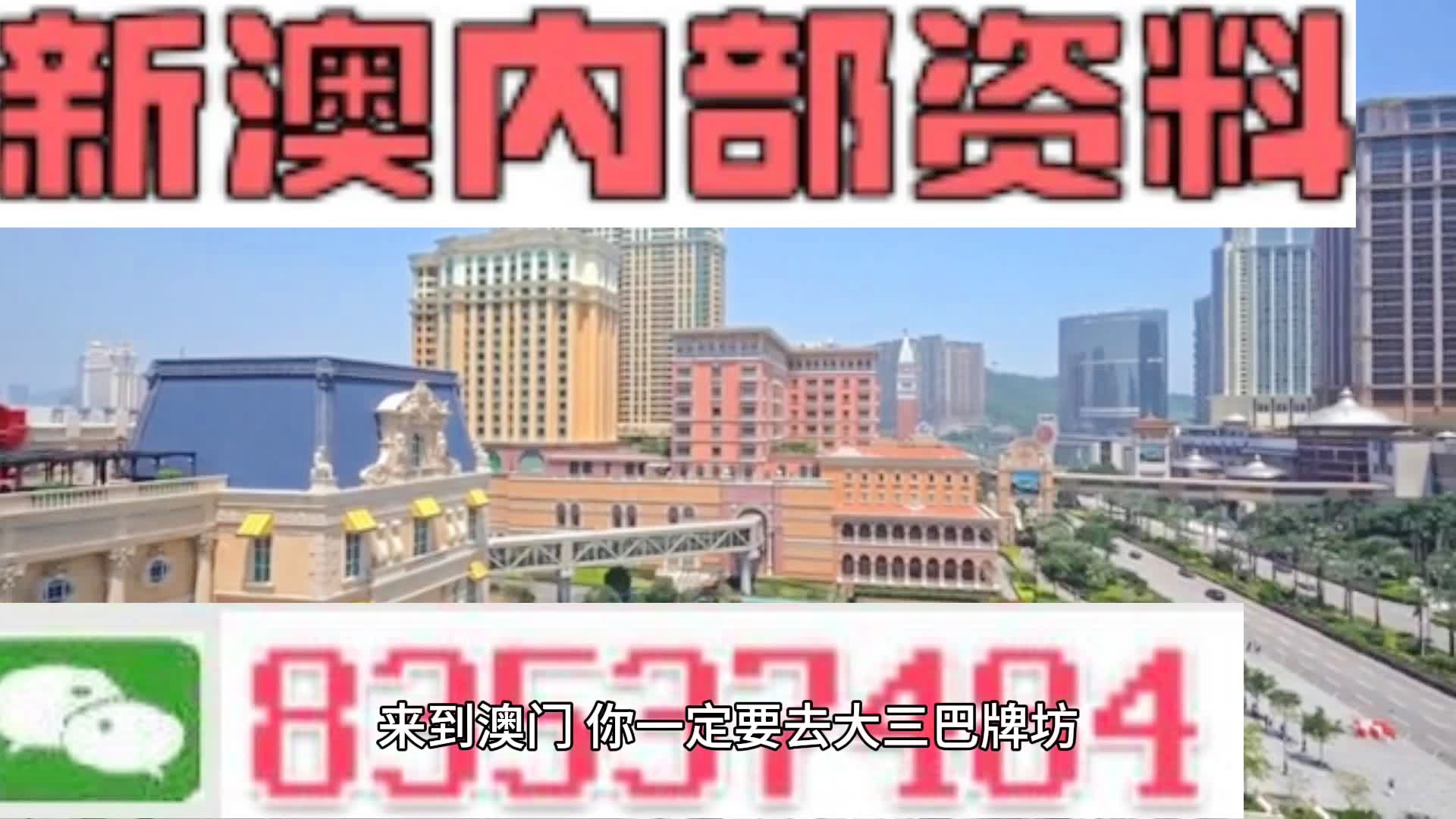 新澳门全年资料内部公开，精选解释解析与落实策略