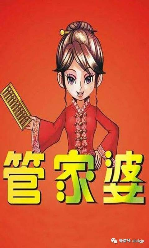 澳门管家婆精选解析落实，探索与深入解读