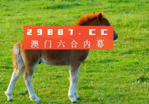 快评 第43页