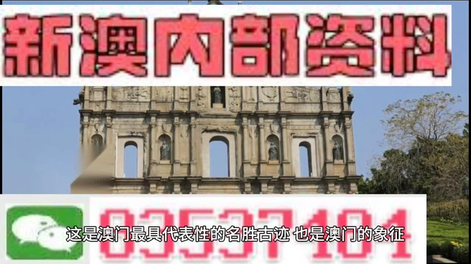 澳门正版资料大全免费公开，精选解释解析与落实的重要性