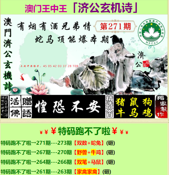 王中王493333中特1肖，解析与精选策略落实
