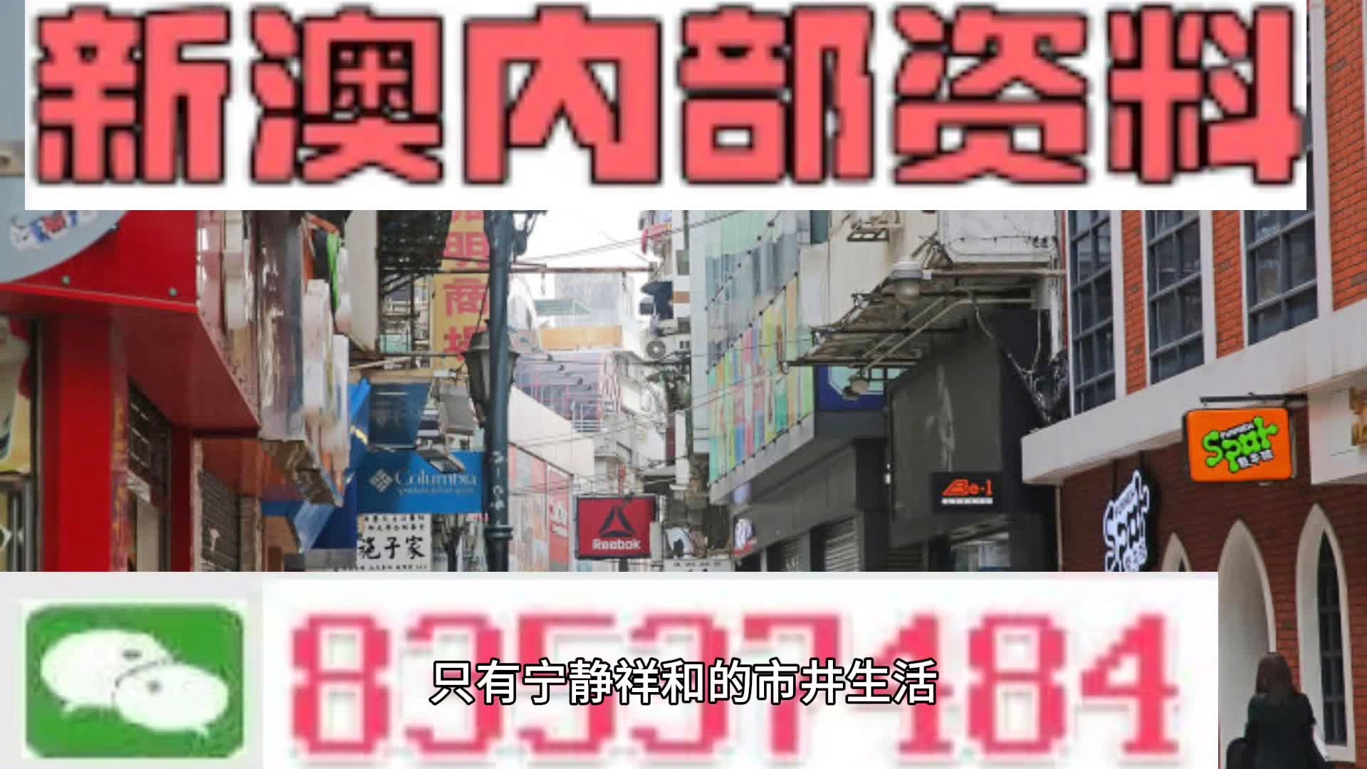新澳门精准四肖期期中特公开与精选解析落实的深度探讨