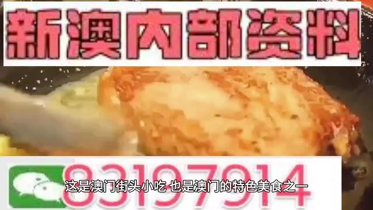 新澳资料大全一肖，解析与落实精选策略