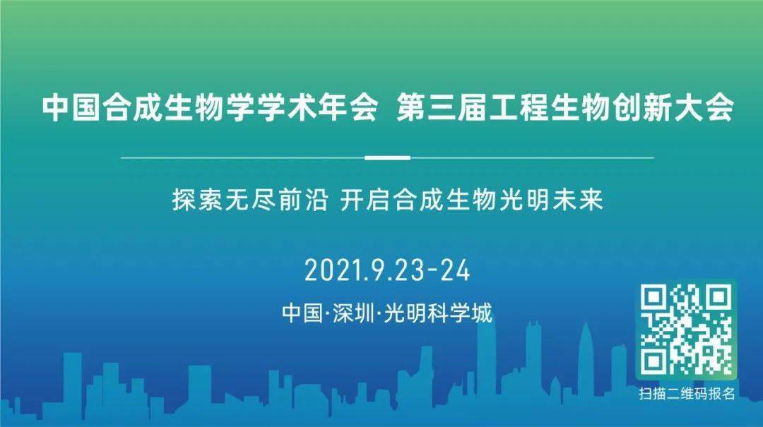 探索未来，2025年新澳精准资料提供网站的综合解析与落实策略