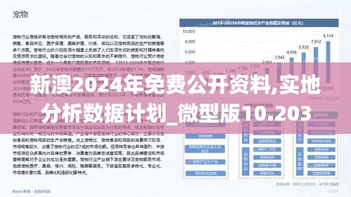新澳2025正版资料免费公开，精选解释解析落实的策略与方法