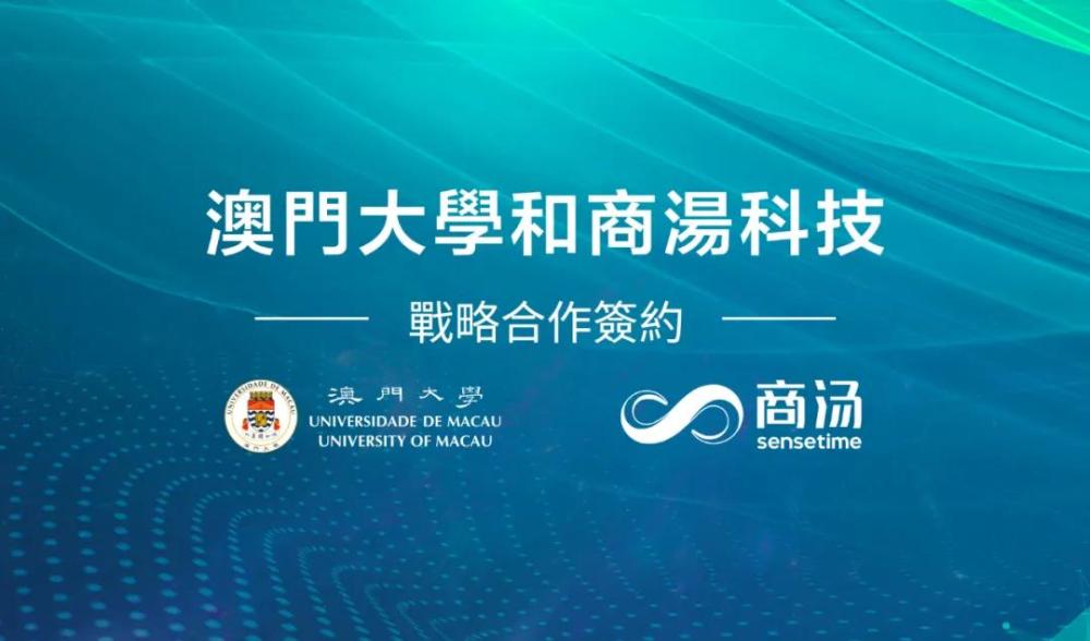 新澳门今晚必开一肖一特，深度解析与精选策略