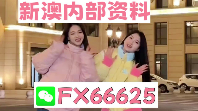 管家婆一码一肖资料大全，一语中的特性与精选解析的落实