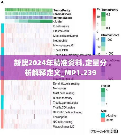 新澳内部资料最准确，解析、落实与精选解释