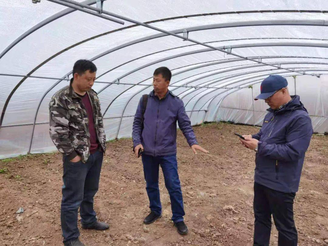 河南物灵网络科技有限公司，精选解释、解析与落实