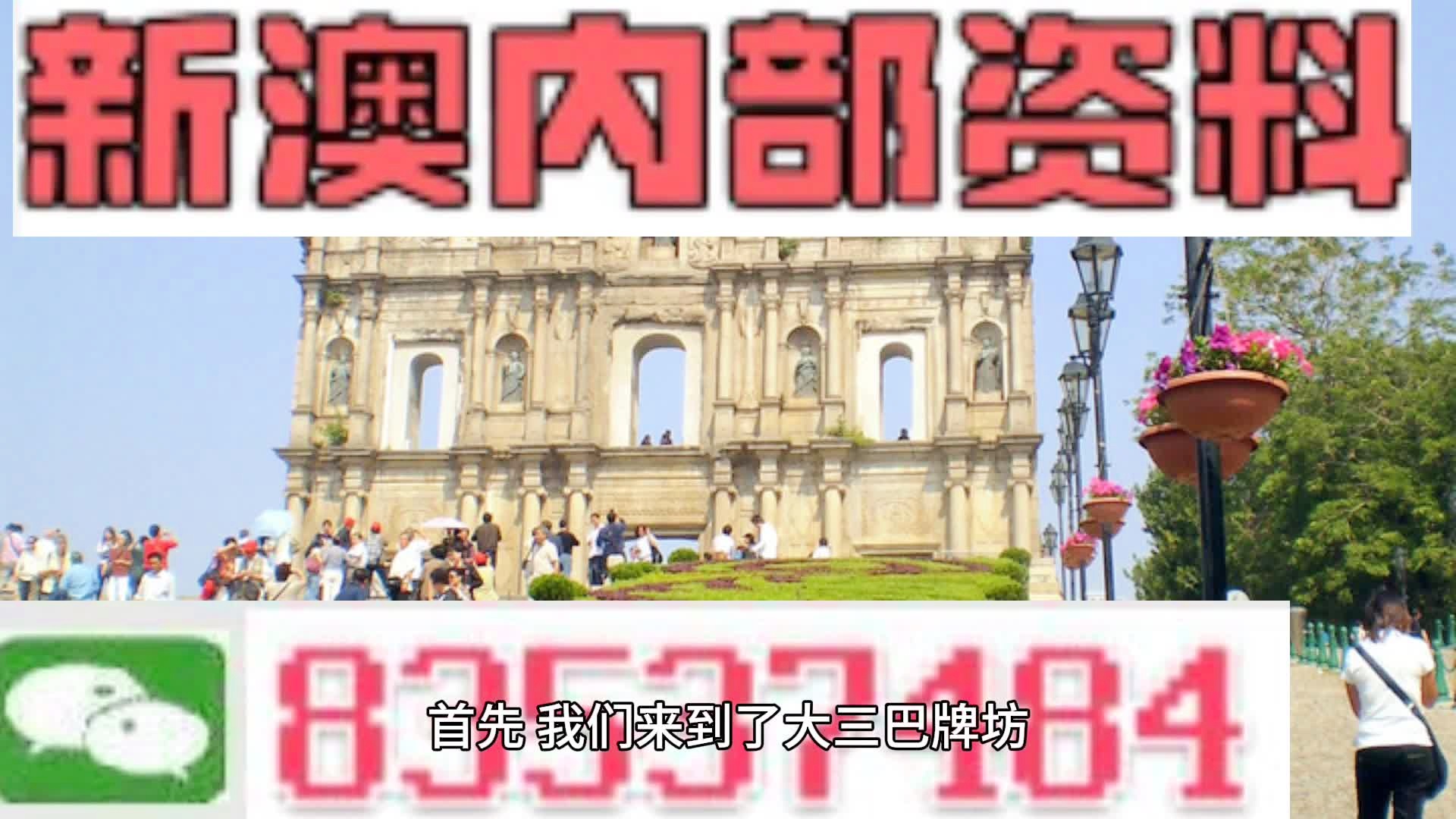澳门今晚特殊号码解析与精选解析落实策略