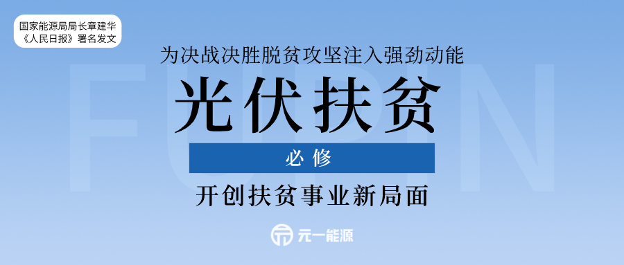 揭秘最准一码一肖，深度解析与精准落实策略