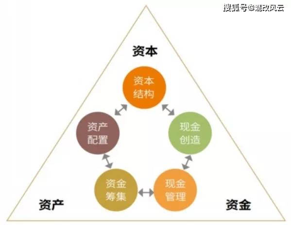 迈向2025年，全面资料免费共享与精选解释解析落实策略
