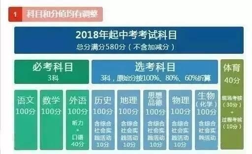 澳门天天期期精准直播，解析、落实与精选内容的深度探讨