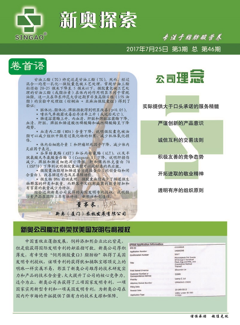 新奥精准资料免费大仝|精选解释解析落实,新奥精准资料免费大仝精选解释解析落实方案