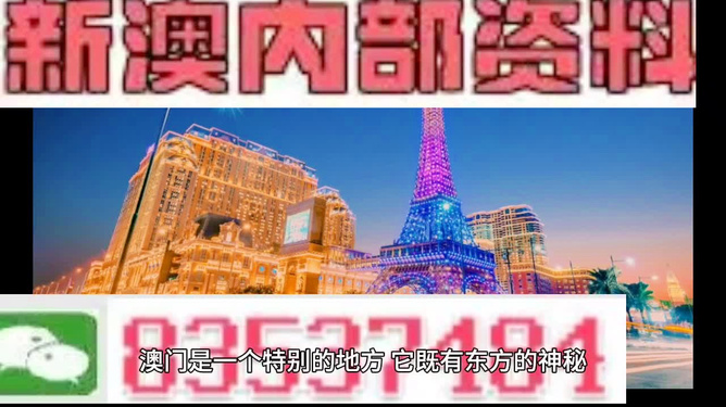 新澳门内部精准资料|精选解释解析落实,新澳门内部精准资料解析与落实策略探讨