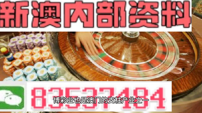 2025澳门精准正版免费大全|精选解释解析落实,澳门正版资料大全与精准解析的落实策略