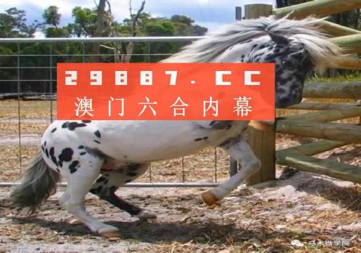 澳门管家婆一肖一码2023年|精选解释解析落实,澳门管家婆一肖一码2023年精选解析与落实策略