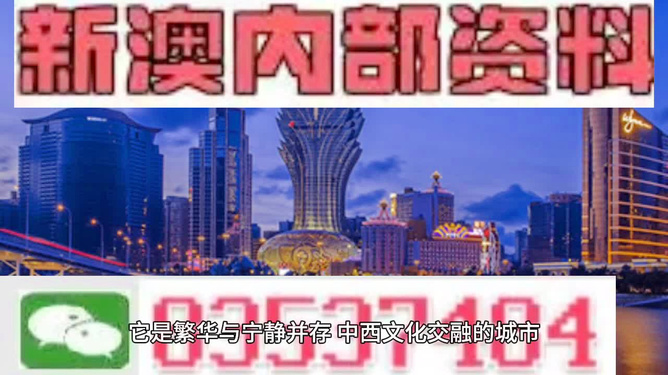 新澳门天天资料|精选解释解析落实,新澳门天天资料精选，解析与落实的深入探索