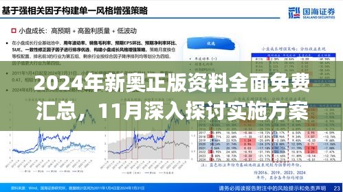 2025新澳精准正版资料|精选解释解析落实,解析未来，探索新澳精准正版资料与落实策略
