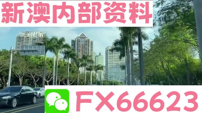 新澳精准资料免费提供510期  |精选解释解析落实,新澳精准资料免费提供，解析与落实精选解析的第510期