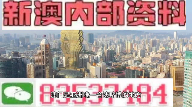 新澳门最精准资料大全|精选解释解析落实,新澳门最精准资料大全，精选解释解析与落实策略
