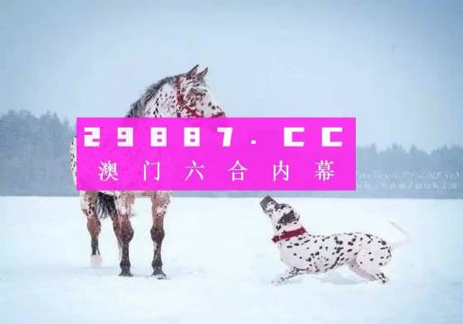 澳门最准一码100|精选解释解析落实,澳门最准一码精选解析与落实策略