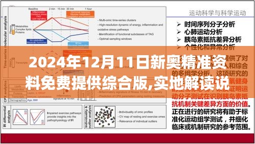 2025新澳兔费资料琴棋|精选解释解析落实,探索未来教育之路，解析新澳兔费资料琴棋精选与落实策略